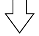 SeguroWeb