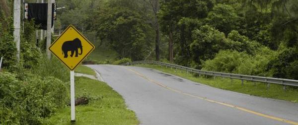 Las Normas de Tránsito para Conductores más curiosas del mundo